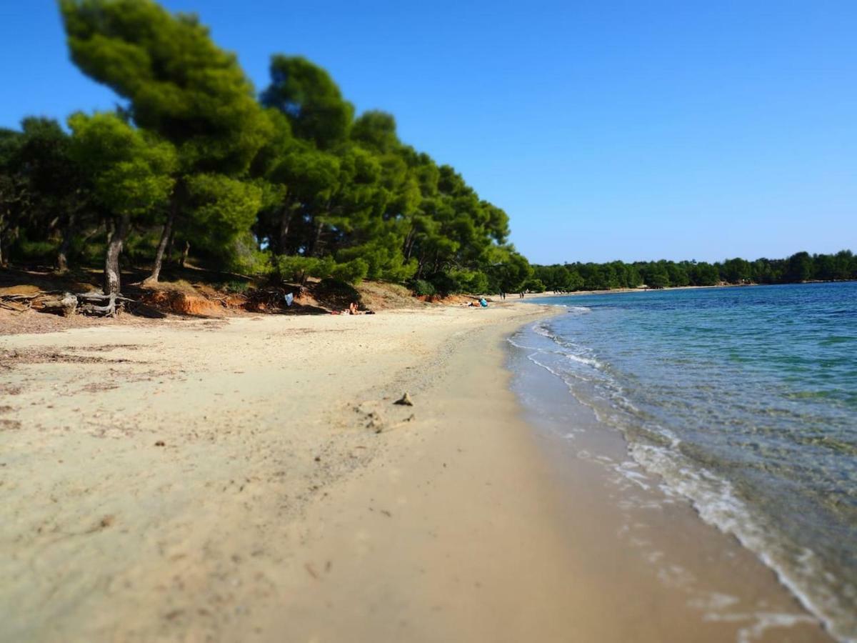 La Londe La Mer : Appartement Proche Plages & Vue Superbe Sur Les Iles D'Or Esterno foto