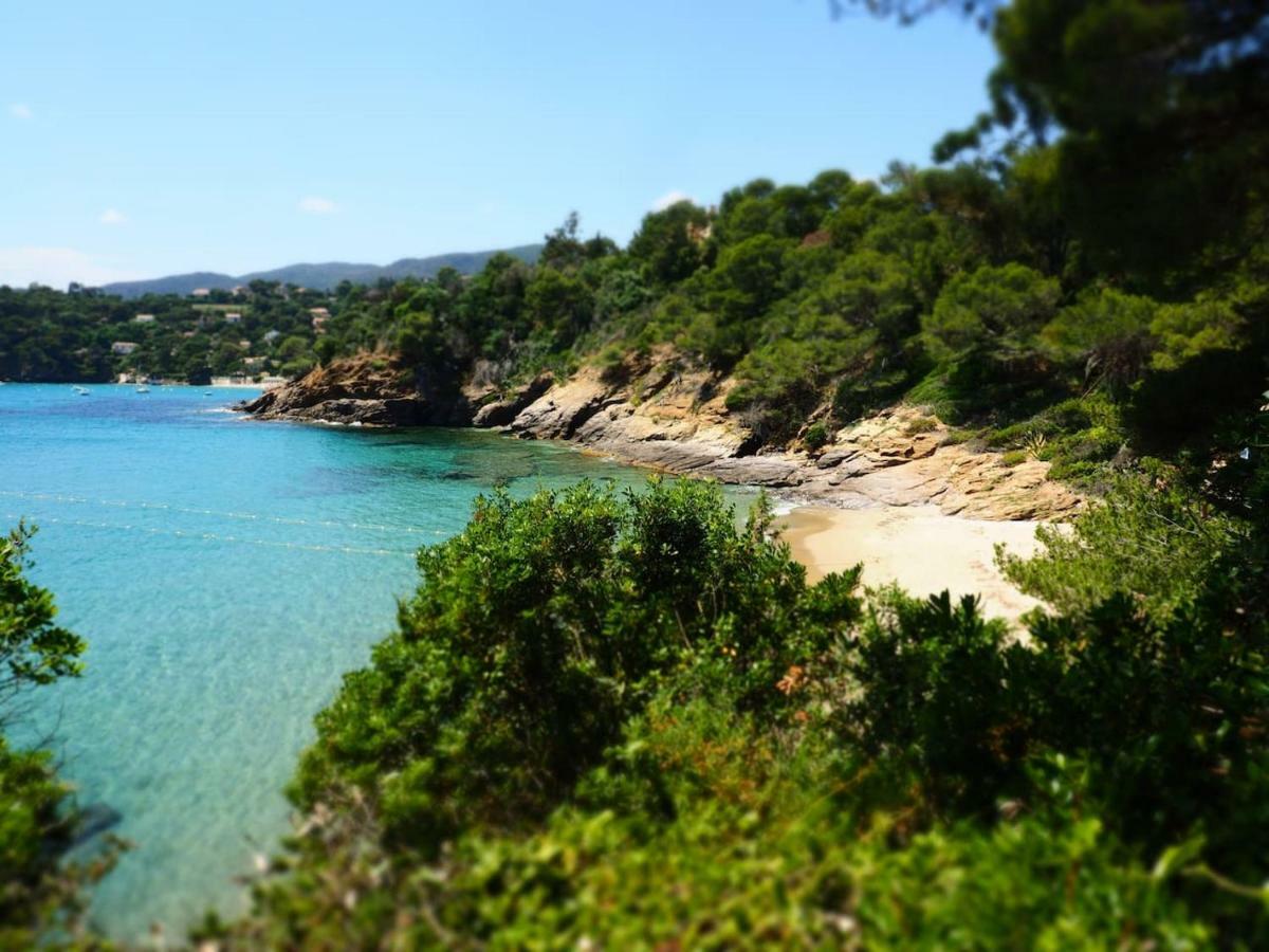 La Londe La Mer : Appartement Proche Plages & Vue Superbe Sur Les Iles D'Or Esterno foto